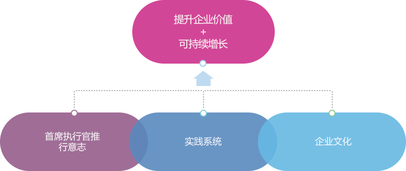 최고경영자(CEO)추진의지 + 실천시스템(conducting system) + 기업문화(corporate culture) = 기업가치제고+지속가능성장