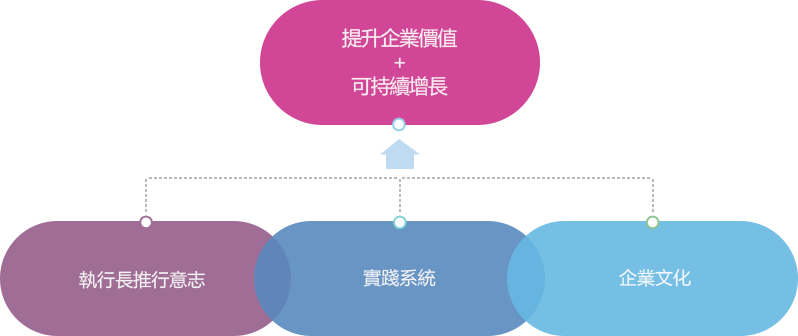 최고경영자(CEO)추진의지 + 실천시스템(conducting system) + 기업문화(corporate culture) = 기업가치제고+지속가능성장