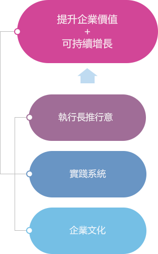 최고경영자(CEO)추진의지 + 실천시스템(conducting system) + 기업문화(corporate culture) = 기업가치제고+지속가능성장